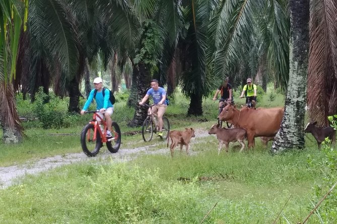 Half-Day Penang Countryside Cycling Tour - George Town Pickup to Balik Pulau: The 7am head start