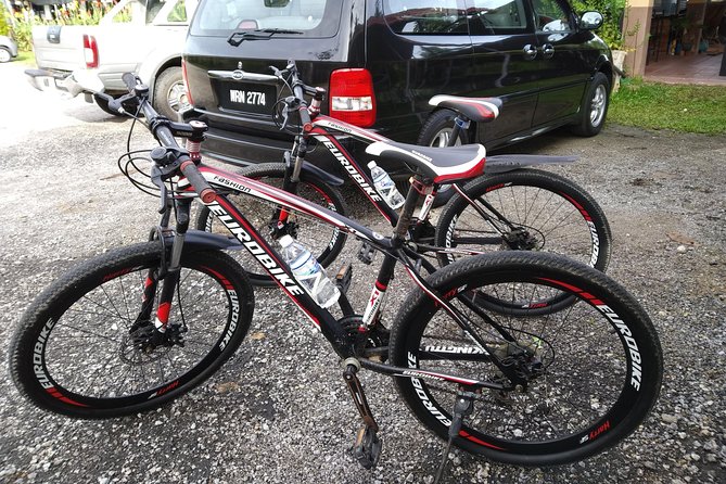 Half-Day Penang Countryside Cycling Tour - Saanen Dairy Goat Farm: More than scenery