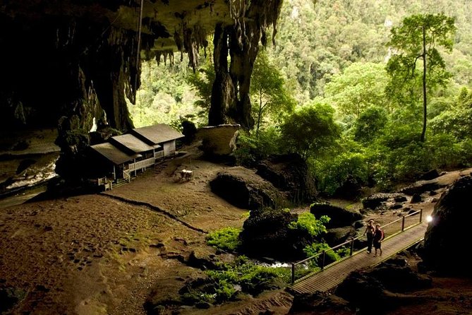 Historical Niah National Park Day Trip from Miri - Key things I’d watch for before you go