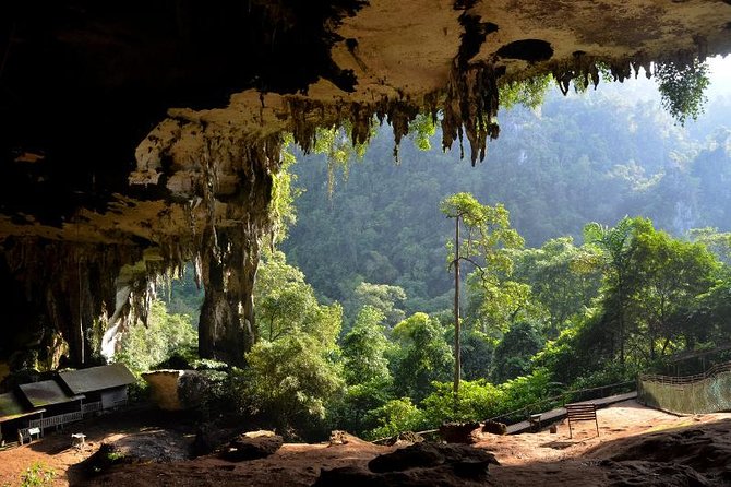 Historical Niah National Park Day Trip from Miri - Boat across the river, then an hour of forest walking