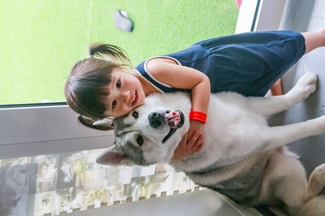Huskitory Connecting People and Dogs - Why the breed education piece is worth it