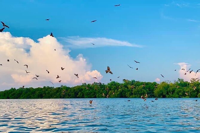 Instagrammable Kuala Selangor Sky Mirror Tour with Transfer - Stop 3 at Sri Shakti Temple in Bukit Rotan: Hindu Architecture You Can Actually See