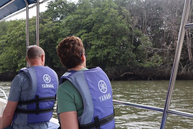 Johor Desaru Coast Day River Cruise - Entering Sungai Lebam: a 2-hour mangrove cruise that stays easy