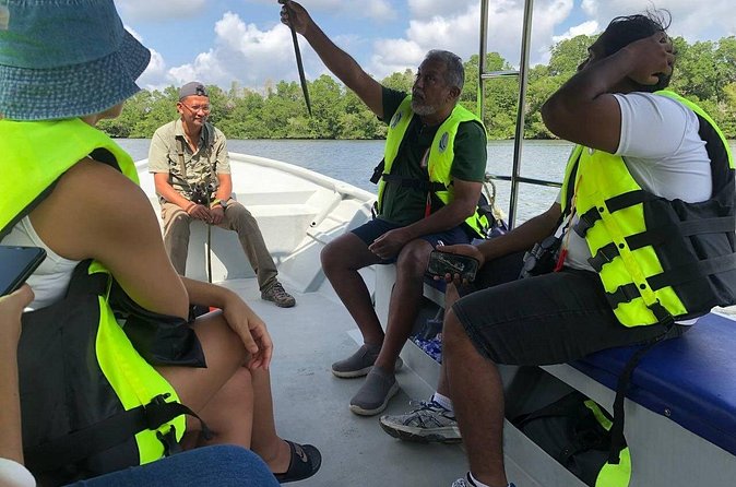 Johor Desaru Coast Day River Cruise - Pickup, transfers, and comfort on a mangrove day