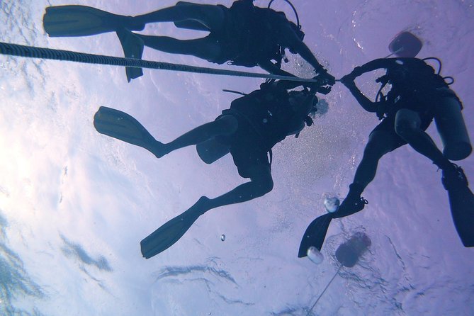 Join us for a RAID Try Dive in Kota Kinabalu - After lunch: the boat outing with your instructor