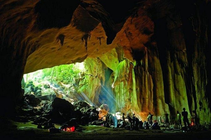 Jungle Odyssey: Unleash Your Adventure in Taman Negara! - Private Tour Pace: Why “Only Your Group” Changes Everything