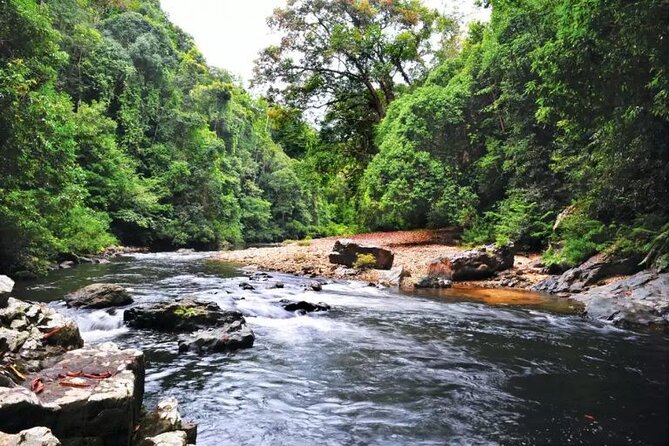 Jungle Odyssey: Unleash Your Adventure in Taman Negara! - What to Pack for a Rainforest Day (So You Feel Comfortable)
