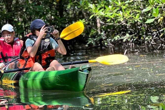 Kayaking Kilim Mangrove Geoforest - Guided Kayaking Through Kilim Mangroves and Limestone Views