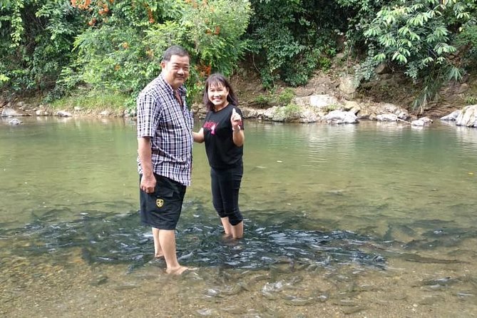 Kinabalu Park Day Trip - What makes this Kinabalu Park day trip work