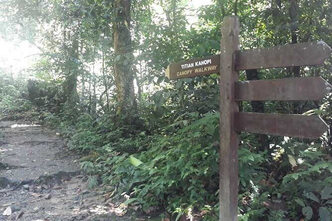 Kinabalu Park Day Trip - Kipungit Waterfall: where you stop for the payoff