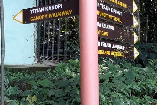 Kinabalu Park Day Trip - Comfort and logistics: private car, mobile ticket, and pacing