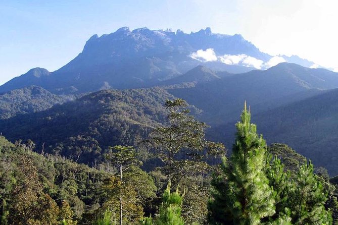 Kinabalu Park & Poring Hot Spring Tour - Poring Hot Spring in Kundasang: Relax Time With a Fish Spa Twist