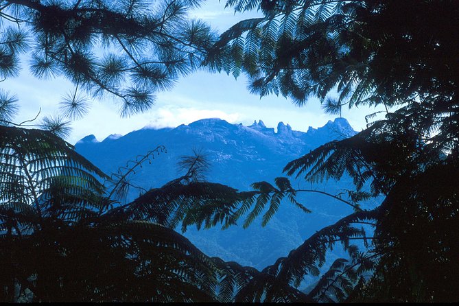 Kinabalu Park & Poring Hot Spring Tour - Price and Value: What $78 Buys You (and When It Can Feel Tight)