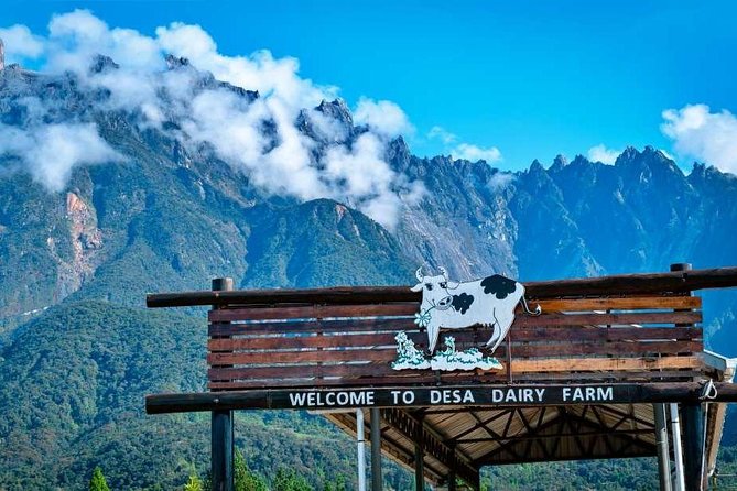 Kinabalu Park With Rumah Terbalik & Desa Cow Farm - Key takeaways before you go