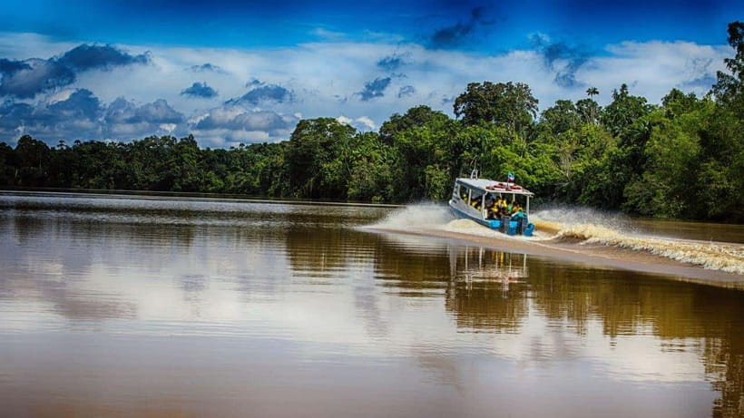 Kinabatangan River Trip from Sandakan with Lunch Included - Kinabatangan River from Sandakan: what you are really paying for