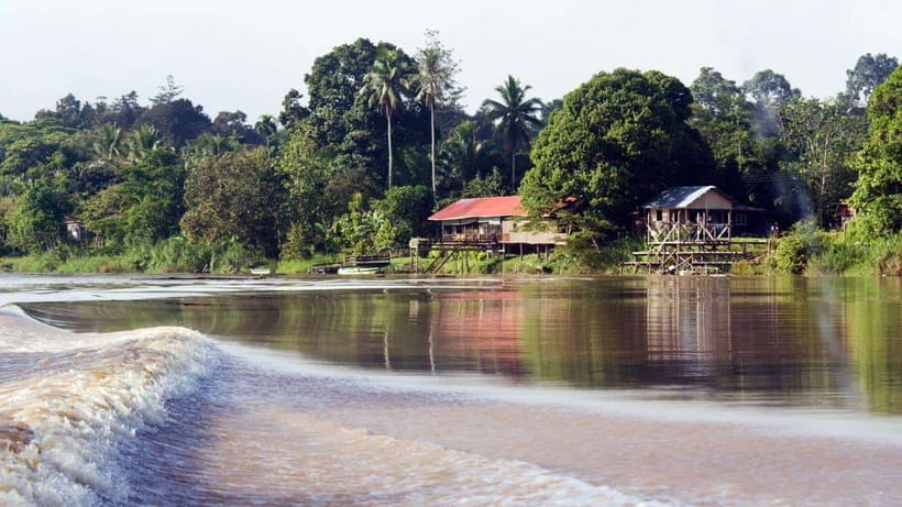 Kinabatangan River Trip from Sandakan with Lunch Included - Timing, waiting, and the reality of a long day
