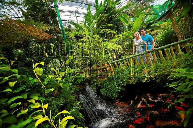 KL Butterfly Park Admission with Kuala Lumpur Famous Landmarks - Who This Tour Suits Best
