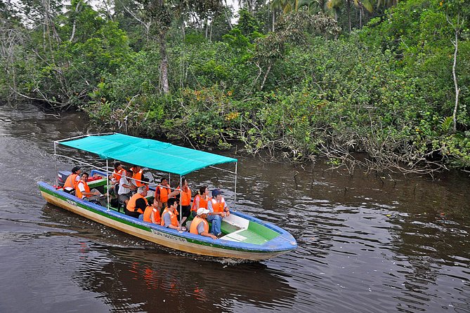 Klias Wildlife Safari River Cruise - Proboscis Monkey & Fireflies - Fireflies After Dark in the Mangroves: What to Expect From the Night Cruise
