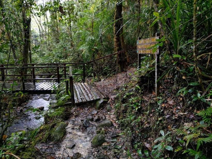 Kota Kinabalu: Private Kundasang and Poring Hot Spring Tour - Who this tour suits, and who might want a different plan