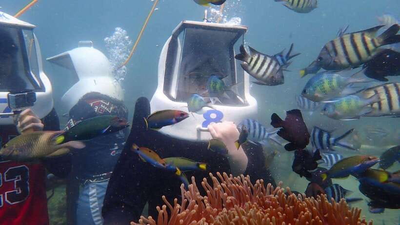 Kota Kinabalu: Snorkeling & Island Hopping Sapi & Manukan - Timing and the “time split” question you should ask yourself
