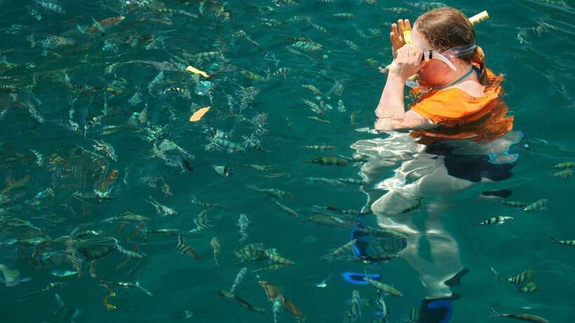 Kota Kinabalu: Snorkeling & Island Hopping Sapi & Manukan - How to pack so the beach day feels easy