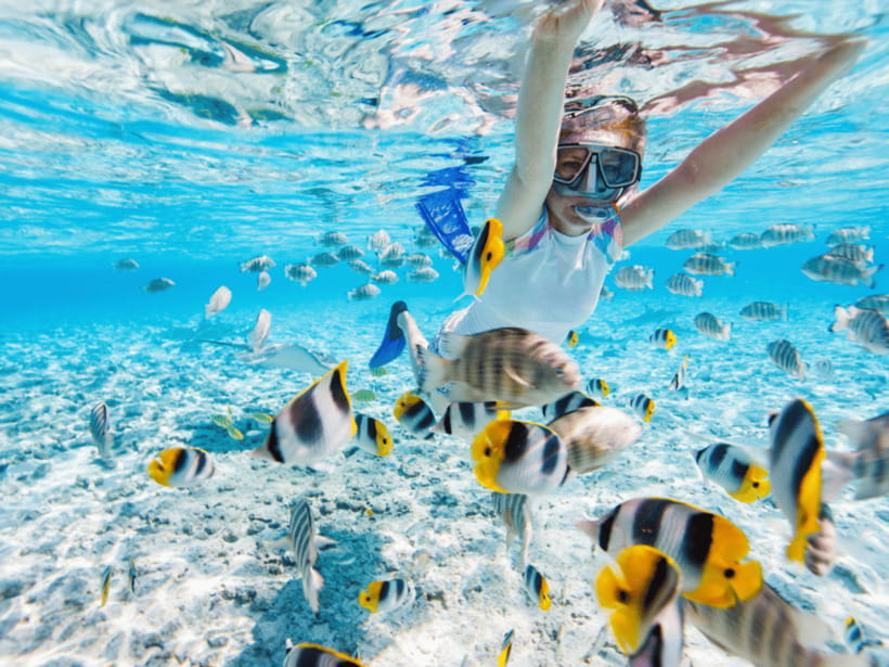 Kota Kinabalu | Snorkeling Sapi Island/Manukan Island - The second free block, your main snorkeling window