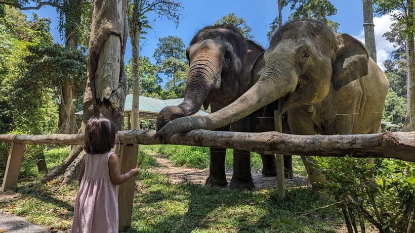 Kuala Lumpur: Batu Caves & Kuala Gandah Elephant Sanctuary - Key things to know before you go
