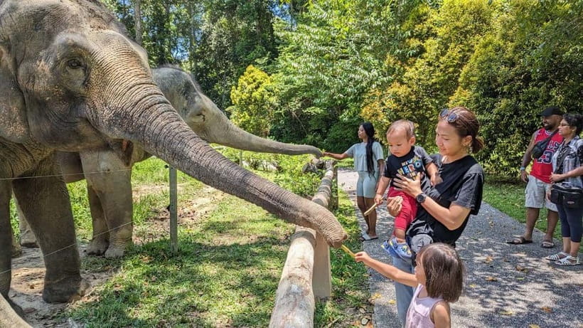 Kuala Lumpur: Batu Caves & Kuala Gandah Elephant Sanctuary - A 7-hour plan that pairs limestone icons with rescued elephants