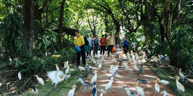 Kuala Lumpur: Bird Park, Butterfly & Garden Private Tour - Price and Value: Is This $79 Private Tour Worth It?