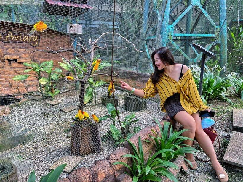 Kuala Lumpur: Bird Park Day Ticket & 1-Way Transfer - Should you book the Kuala Lumpur Bird Park day ticket with 1-way transfer?