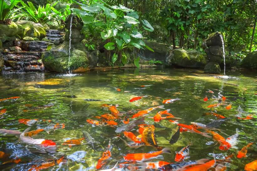 Kuala Lumpur: Bird Park Day Ticket & 1-Way Transfer - Hornbill Park: the main feature you should build your route around