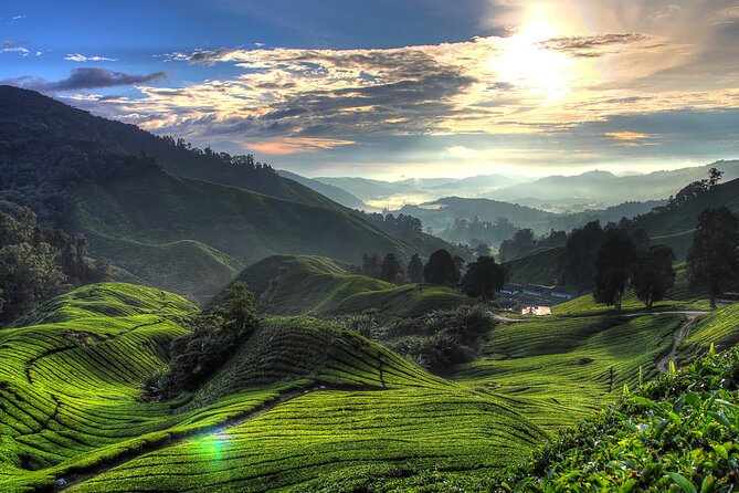 Kuala Lumpur: Cameron Highlands & Batu Caves Private Day Tour - Why This Tour Works as a Private Day (Even With a Long Drive)
