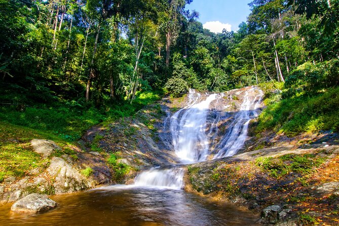 Kuala Lumpur: Cameron Highlands & Batu Caves Private Day Tour - BOH Tea Centre at Sungai Palas: The Tea Tour and Tasting Moment