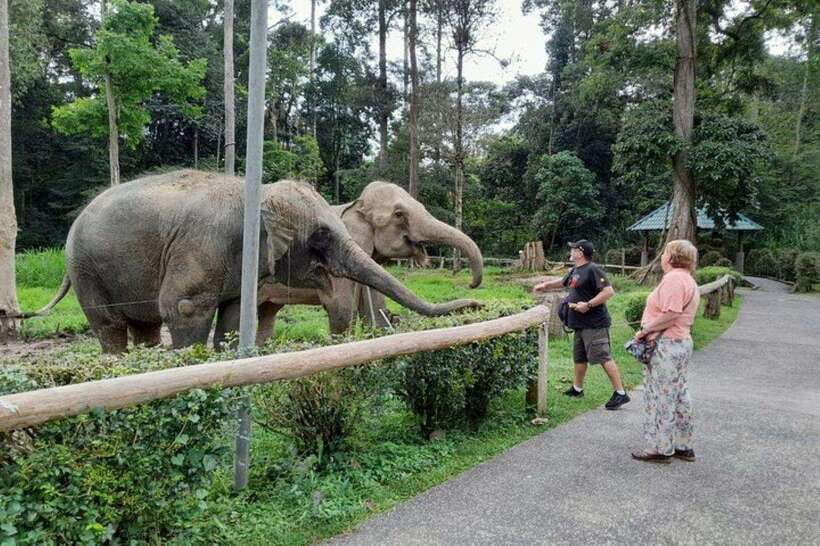 Kuala Lumpur: Kuala Gandah and Batu Caves Private Trip - A 7-hour private plan that feels realistic (not rushed)