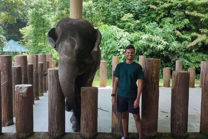 Kuala Lumpur: Kuala Gandah and Batu Caves Private Trip - The driver part matters more than you think