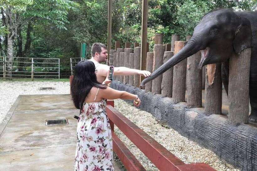 Kuala Lumpur: Kuala Gandah and Batu Caves Private Trip - Where the itinerary can shift, and how to handle it