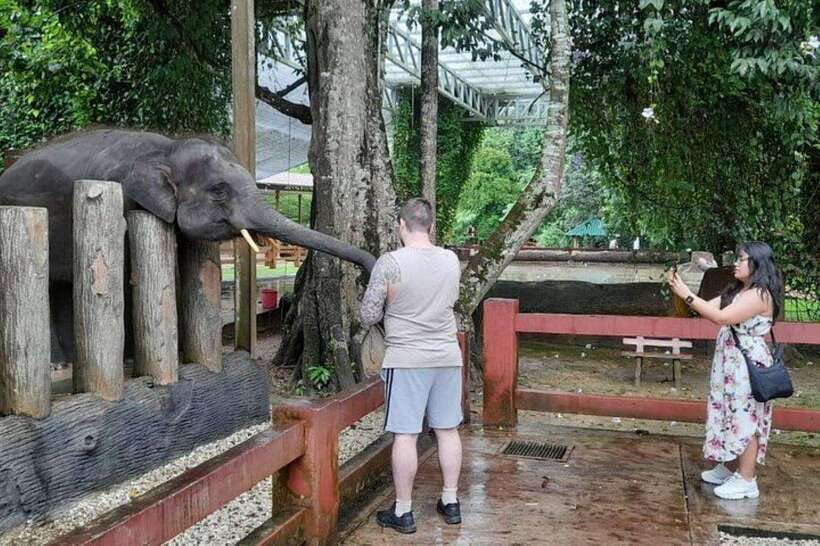 Kuala Lumpur: Kuala Gandah and Batu Caves Private Trip - Price and value: why $65 can make sense