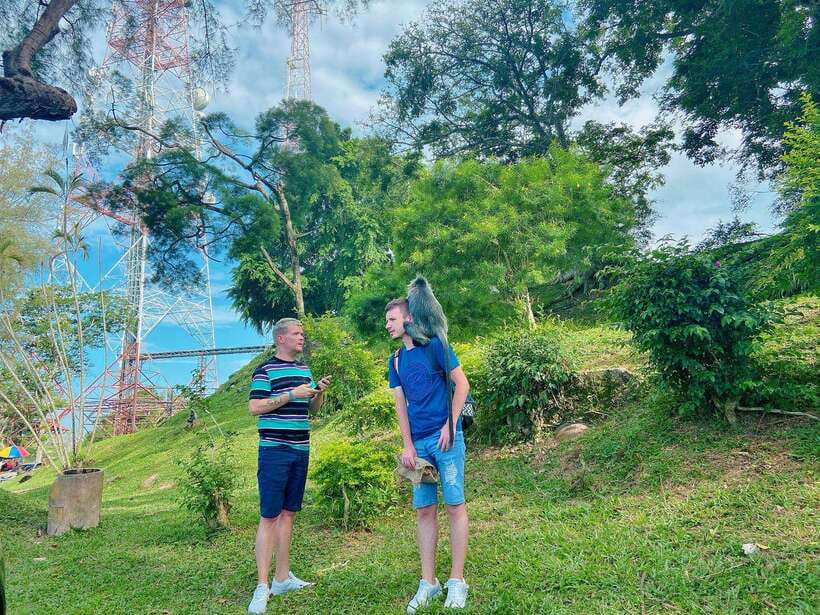 Kuala Lumpur: Kuala Selangor Fireflies and Blue Tears Tour - Who This Tour Fits Best