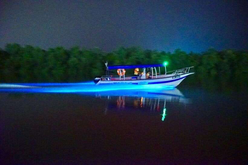 Kuala Lumpur: Kuala Selangor Fireflies and Blue Tears Tour - Getting Out of Kuala Lumpur: Kota Melawati Before the Night Magic