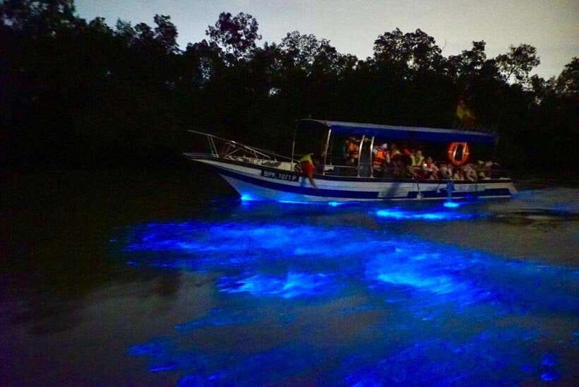 Kuala Lumpur: Kuala Selangor Fireflies and Blue Tears Tour - Seafood Dinner by the Water: What Makes It Worth the Stop