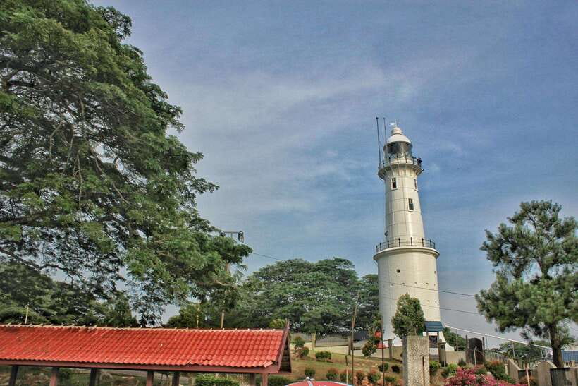 Kuala Lumpur: Kuala Selangor Fireflies and Blue Tears Tour - Timing, Group Size, and the 8 Hour Reality Check