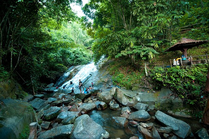 Kuala Lumpur Private Tour to Batu Caves Hotsprings And Waterfalls - Templer Park waterfalls: forest air, wildlife chances, and a steep final push