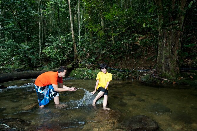 Kuala Lumpur Private Tour to Batu Caves Hotsprings And Waterfalls - Batu Caves: Temple Cave, the Dark Cave, and the 42.7 m Lord Muruga statue