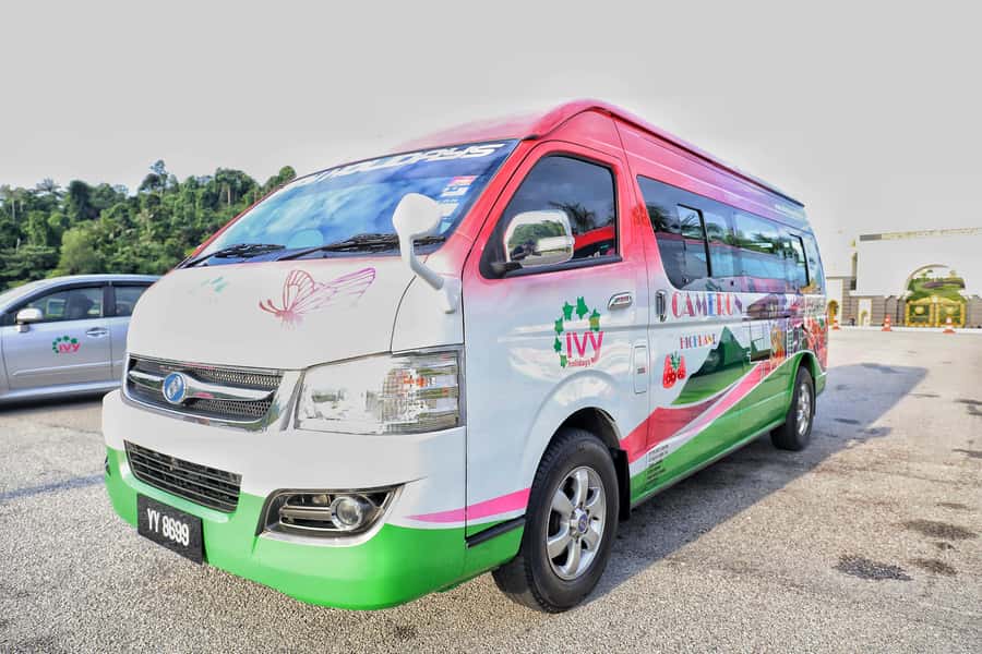Kuala Lumpur: Sightseeing by Private Vehicle with Driver - Who this is best for (and who should look elsewhere)