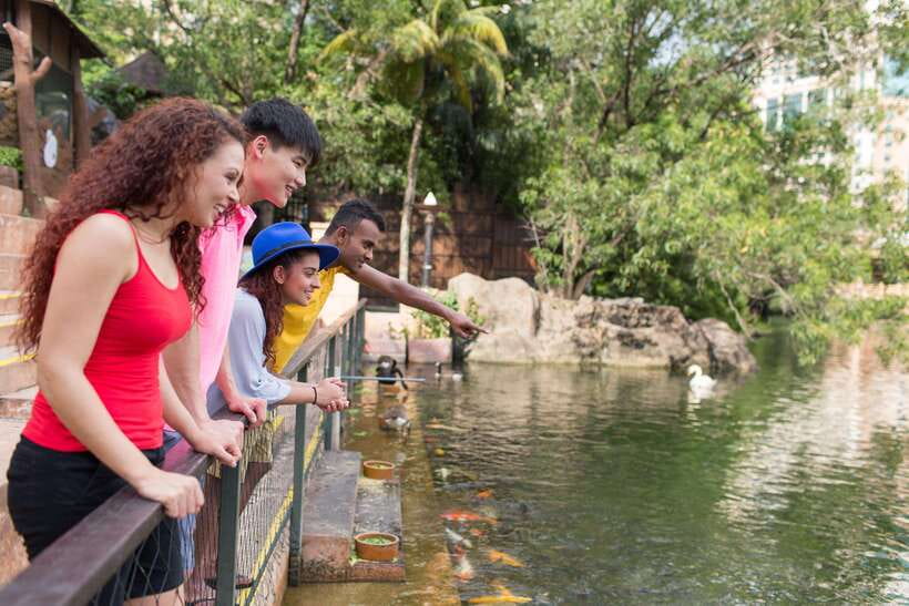 Kuala Lumpur: Sunway Lagoon Entry Ticket - Tickets and price value: Standard for both, Night for evening focus