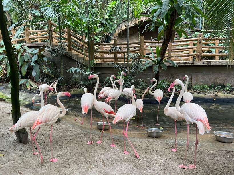 Kuala Lumpur: Sunway Lagoon Ticket & 1-Way Transfer - Your “Full Day” at Sunway Lagoon: The Best Zone-by-Zone Game Plan