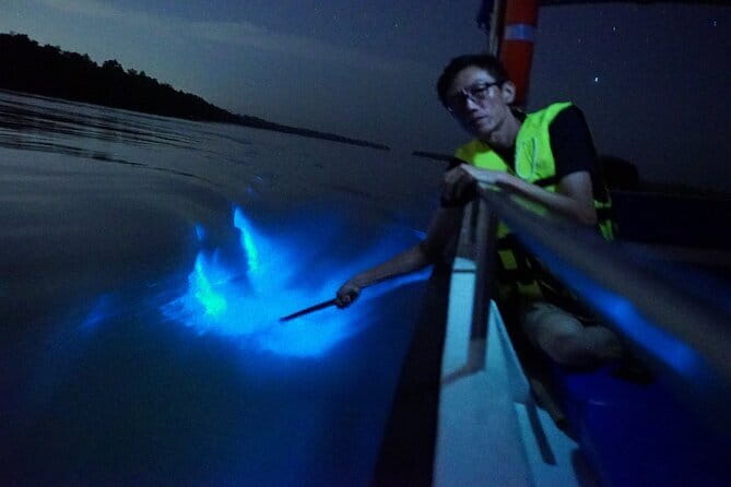 Kuala Selangor Fireflies and Blue Tears Tour with Dinner (SIC) - Why the Kuala Selangor night show is worth planning