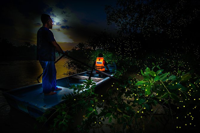 Kuala Selangor Fireflies - Batu Caves Temple- Malawati Hill DayTour With Dinner - Kuala Selangor Fireflies at Kampung Kuantan: The Night Part You Actually Remember