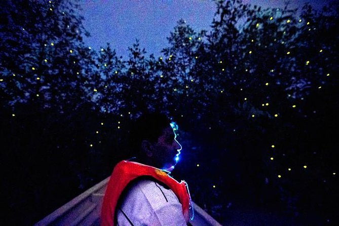 Kuala Selangor Fireflies Evening River Cruise from Kuala Lumpur - Sri Shakti Temple photo stop, beautiful but sometimes limited opening times