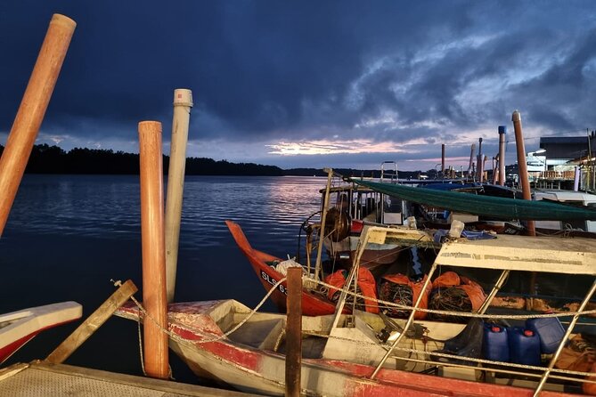 Kuala Selangor Fireflies Tour with Fort Altingsburg & Dinner - The mangrove boat ride: what synchronized flashes feel like